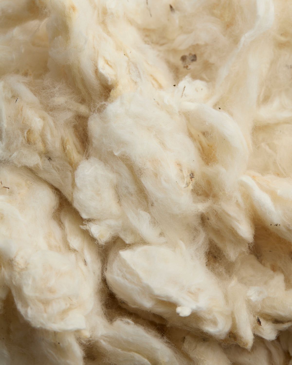 Organic Cotton